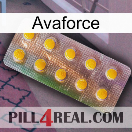 Avaforce new11